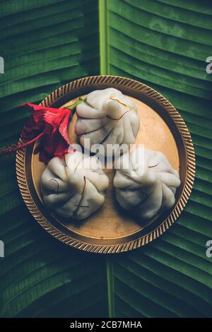 Ukdiche Modak sind gedünstete Knödel mit einem äußeren Reismehlteig und einer Kokos-Jagery Füllung, indische Nahrung, die Lord ganesha auf Chaturthi angeboten wird Stockfoto