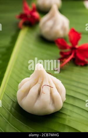 Ukdiche Modak sind gedünstete Knödel mit einem äußeren Reismehlteig und einer Kokos-Jagery Füllung, indische Nahrung, die Lord ganesha auf Chaturthi angeboten wird Stockfoto