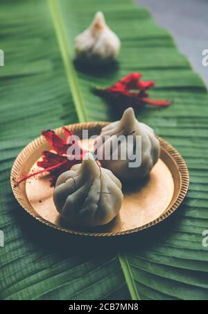 Ukdiche Modak sind gedünstete Knödel mit einem äußeren Reismehlteig und einer Kokos-Jagery Füllung, indische Nahrung, die Lord ganesha auf Chaturthi angeboten wird Stockfoto