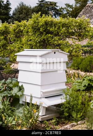 Bee Hive, im Küchengarten. Stockfoto