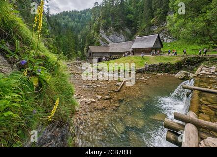 Historische Oblazy Wassermühle am Fluss Kvacianka, Kvacany Tal (Kvačianska dolina), Liptov Gebiet, Zilina Region, Slowakei Stockfoto