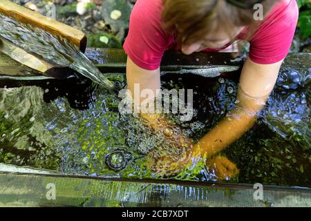 Frau mit Armbad, Kneippkur, Hydrotherapie im Fluss, Themenwanderweg am Egelsee, Österreich Stockfoto