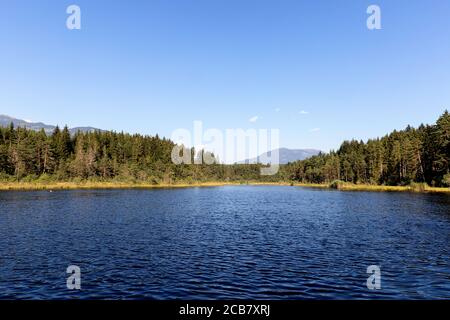 egelsee im Sommer, Österreich, Oberösterreich, Oberösterreich Stockfoto