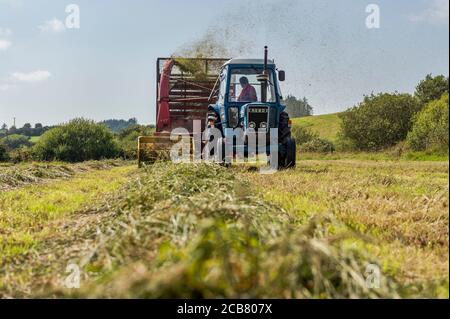 Leap, West Cork, Irland. Juli 2020. An einem heißen Sonnentag sammeln Mitglieder des Leap und des District Vintage Club Silage für Leap Farmer Andrew Whelton mit Vintage-Traktoren und Erntemaschinen. Shane Jennings ist abgebildet, einen Ford 7600 von 1979 zu fahren, der Gras mit einem New Holland 717 aus den 1970er Jahren sammelt. Quelle: AG News/Alamy Live News Stockfoto