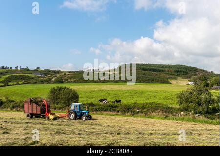 Leap, West Cork, Irland. Juli 2020. An einem heißen Sonnentag sammeln Mitglieder des Leap und des District Vintage Club Silage für Leap Farmer Andrew Whelton mit Vintage-Traktoren und Erntemaschinen. Shane Jennings ist abgebildet, einen Ford 7600 von 1979 zu fahren, der Gras mit einem New Holland 717 aus den 1970er Jahren sammelt. Quelle: AG News/Alamy Live News Stockfoto