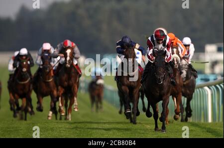 Leoncavallo geritten von James Doyle (vorne rechts) der BetVictor Run for Your Money Handicap auf der Haydock Park Racecourse, Haydock. Stockfoto