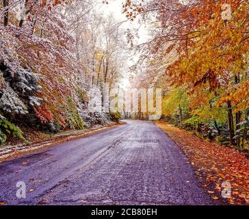 Früher Schnee im Herbst Bäume auf der Straße in Lake Placid Bereich des Adirondack Mounatins State Park in New York Us-Bundesstaat Stockfoto