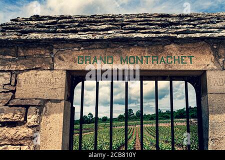 LE MONTRACHET retro vintage style steinerne Eingangstor zum feinsten weißen Chardonnay Wein der Welt der Grand Montrachet Grand Cru Weinberg, Puligny-Montrachet, Côte d'Or, Frankreich. [Côte de Beaune Grand Cru] Stockfoto