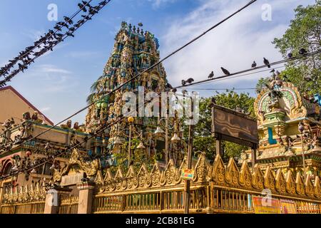 Yangon, Myanmar - 18. Dezember 2017: Der Shri Kali Tempel im Zentrum von Yangon, Myanmar, umgeben von einer Vogelschar Stockfoto