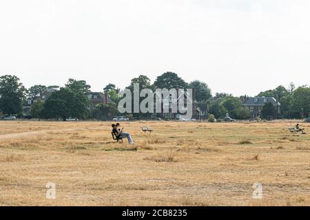 WIMBLEDON LONDON, GROSSBRITANNIEN - 11. AUGUST 2020. Menschen sitzen auf dem ausgetrockneten Gras am späten Nachmittag auf Wimbledon Common verursacht durch minimale Regenfälle in den letzten Monaten und die trockenen Bedingungen durch die aktuelle Hitzewelle gebracht. Die Prognose ist, dass hohe Temperaturen bis Donnerstag bleiben und Gewitter bis zum Ende der Woche Kredit: amer ghazzal/Alamy Live News Stockfoto