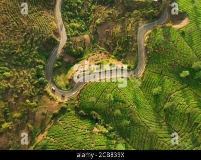 Luftaufnahme einer Straße durch eine Teeplantage, Bandung, Provinz West Java, Indonesien Stockfoto