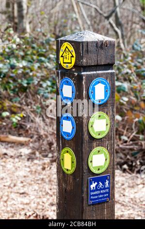 Große Anzahl von verwirrenden Wegmarkierpfeilen auf einem Schild in der englischen Landschaft. Stockfoto