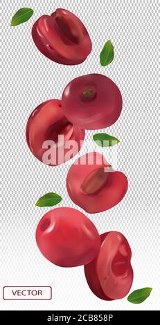 Kirsche fällt aus verschiedenen Winkeln. Fliegende Kirsche mit grünem Blatt auf transparentem Hintergrund. 3D realistische Kirsche. Vektorgrafik Stock Vektor