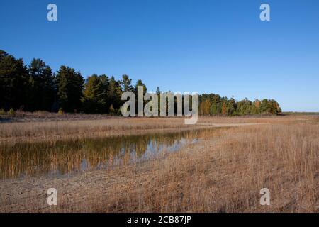 Süßwasserlagune, Ufer des Lake Huron, Nord-Michigan, USA, von Dembinsky Photo Assoc Stockfoto