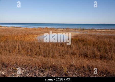 Süßwasserlagune, Ufer des Lake Huron, Nord-Michigan, USA, von Dembinsky Photo Assoc Stockfoto