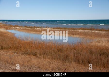 Süßwasserlagune, Ufer des Lake Huron, Nord-Michigan, USA, von Dembinsky Photo Assoc Stockfoto