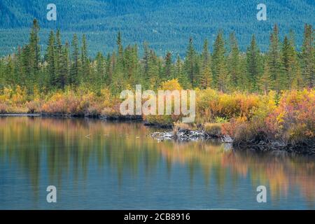 Vermilion Lakes Ende September in der Abenddämmerung, Banff National Park, Alberta, Kanada Stockfoto