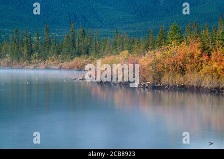 Vermilion Lakes Ende September bei Sonnenaufgang, Banff National Park, Alberta, Kanada Stockfoto