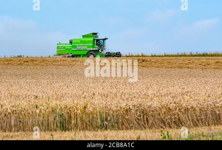 DEUTZ-Fahr Mähdrescher Ernte Weizenernte Feld im Sommer Sonnenschein, East Lothian, Schottland, Großbritannien Stockfoto