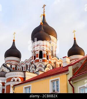 Skyward Blick auf Alexander Nevsky Kathedrale bei Sonnenuntergang. Tallinn, Estland Stockfoto