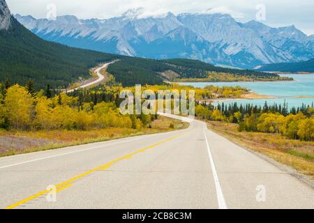 Der David Thompson Highway in der Nähe von Abraham Lake, Kootenay Plains Ecological Preserve, Alberta, Kanada Stockfoto