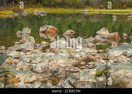 Flechten bedeckte Felsbrocken in einer Felsrutsche, Jasper National Park, Alberta, Kanada Stockfoto