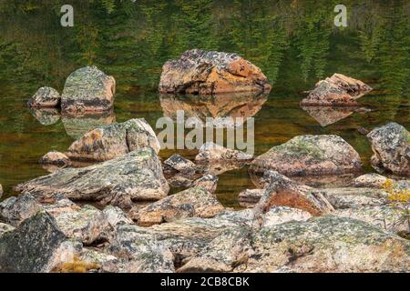 Flechten bedeckte Felsbrocken in einer Felsrutsche, Jasper National Park, Alberta, Kanada Stockfoto