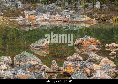 Flechten bedeckte Felsbrocken in einer Felsrutsche, Jasper National Park, Alberta, Kanada Stockfoto