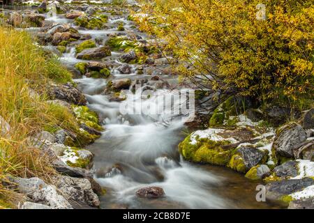 Ein kleiner Bach mit Neuschnee, Spray Lake Provincial Park, Alberta, Kanada Stockfoto