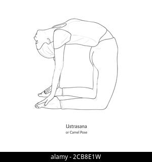 Ustrasana oder Kamel Pose. Vektor. Stock Vektor