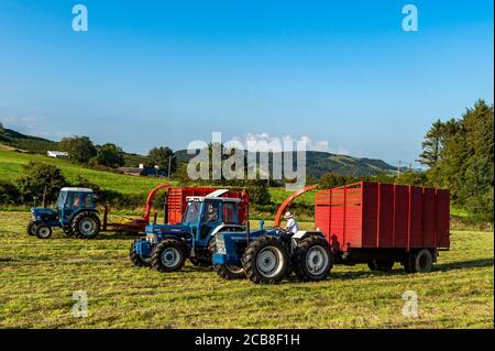 Leap, West Cork, Irland. Juli 2020. An einem heißen Sonnentag sammeln Mitglieder des Leap und des District Vintage Club Silage für Leap Farmer Andrew Whelton mit Vintage-Traktoren und Erntemaschinen. Quelle: AG News/Alamy Live News Stockfoto