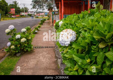 Touristenattraktion, Poas Volcano National Park, San Jose, Costa Rica Stockfoto