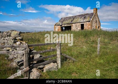 Ruinen einer Hütte auf einem Hügel in der Nähe von Ruthven im Cairngorms National Park, Schottland, Großbritannien. Stockfoto