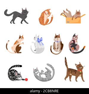 Reinrassige Katzen, verspielte Haustiere Vektor Illustrationen Set. Niedliche Säugetiere, Vollblut Cartoon Tiere Sammlung. Einheimische Ahnenkätzchen mit Kragen und Schleifen packen isoliert auf weißem Hintergrund Stock Vektor