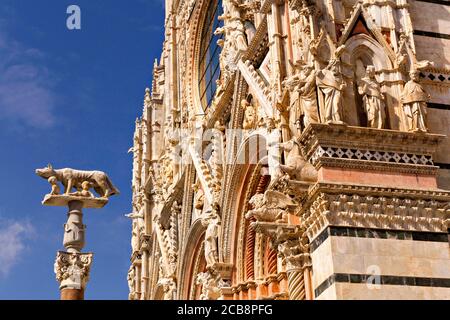 Statue von Romulus und Remus, She Wolf vor der Kathedrale von Siena, Siena, Toskana, Italien Stockfoto