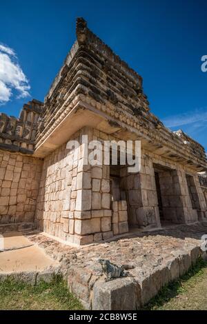 Ein großer Stachelschwanziger Schwarzer Leguan, Ctenosaura similis, im Viereck der Vögel in den Ruinen der Maya-Stadt Uxmal in Yucatan, Mexiko. Vor Stockfoto