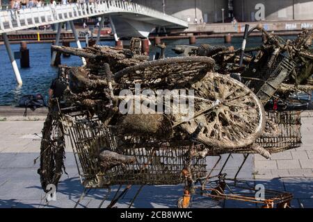 Schlammige Fahrräder und Einkaufswagen von unten abgeholt Des Wassers in einem städtischen Hafen in die geworfen Wasser durch gedankenlose Menschen Stockfoto