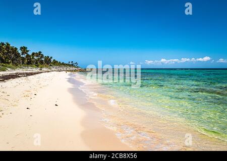 Tropischer Xcacel Strand an der Karibikküste. Meeresschildkröten Reserve. Wunderschöne tropische Landschaft, Quintana Roo, Mexiko. Stockfoto