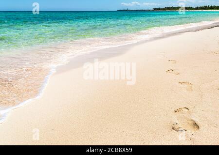 Tropischer Xcacel Strand an der Karibikküste. Meeresschildkröten Reserve. Wunderschöne tropische Landschaft, Quintana Roo, Mexiko. Stockfoto