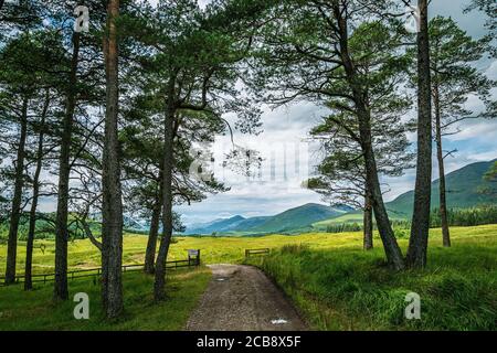 Titel Straße, die in ein malerisches grünes Tal in schottischen Highlands nahe der Bridge of Orchy führt. Stockfoto