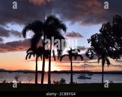 Ein Sonnenuntergang in Cooktown im tropischen Norden von Queensland, von Palmen aus gesehen Stockfoto