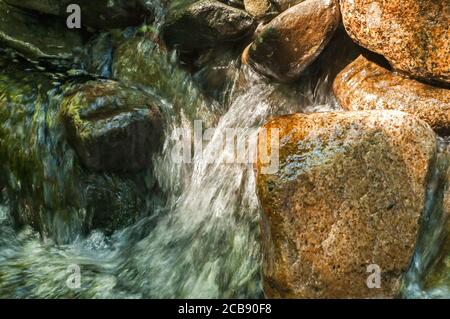 Kleine klare Bergbach Wasser im Wald Stockfoto
