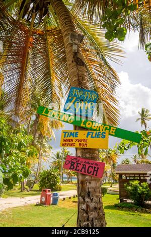 Verschiedene bunte Strandschilder auf der Palme im Strand Stockfoto