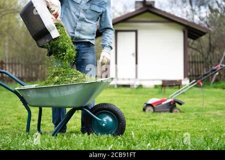 Ausgießen von geschnittenem Gras aus einem Mähbehälter in ein Schubkarre Stockfoto