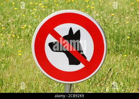 Keine Hunde erlaubt Zeichen Stockfoto