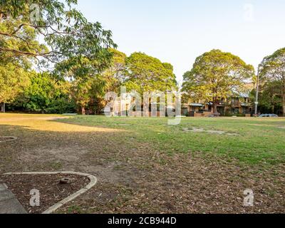 Punch Park in Rozelle an einem sonnigen Sommernachmittag Stockfoto