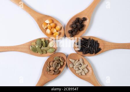 Verschiedene Samen -Mais, Kürbis, Kaffee, Pfeffer, Reis, Sonnenblumen- in Holzlöffeln auf einer weißen Oberfläche Stockfoto