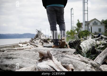 Mann, der auf Treibholz auf Vashon Island, Seattle, läuft Stockfoto