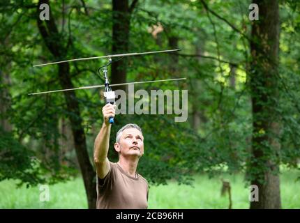 28. Juli 2020, Hessen, Mörfelden: Markus Dietz, Biologe, spaziert mit einer Spurantenne durch den Wald. Einige Fledermäuse in der Kolonie tragen Sender. Seit rund 20 Jahren untersuchen Biologen regelmäßig, wie sich die Fledermauspopulation in einem Waldgebiet bei Mörfelden-Walldorf entwickelt. (Zu dpa Sommerserie 'Night Shift' 'Fledermausforscherin: Nachtarbeit im Wald bereichert das Lebensumfeld' von Andrea Löbbecke) Foto: Andreas Arnold/dpa Stockfoto