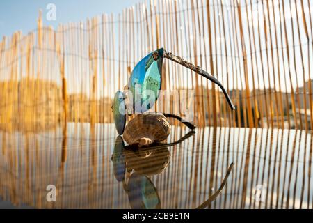 Sonnenbrillen mit blauer Linse sitzen auf Tisch mit Bambus Rückengrund. Katzenauge Modell für Damen Nahaufnahme. Selektiver Fokus Stockfoto